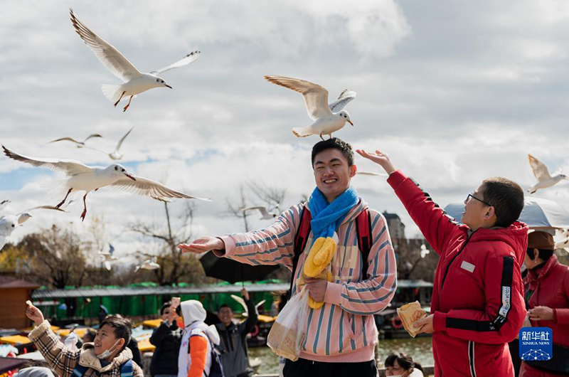الصين تسجل 251 مليون رحلة داخلية خلال عطلة عيد الربيع