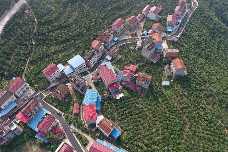 تأثير الحوكمة الرشيدة والديمقراطية السليمة في تنمية وتطوير قرية في مقاطعة هوبي الصينية