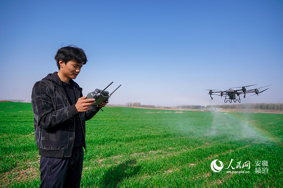تشانغ فنغ، آنهوي: طائرة مسيّرة زراعية تلعب دورا رئيسيا في الحرث الربيعي