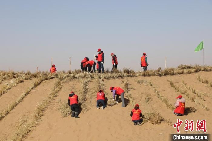 حملة تثبيت الرمال في صحراء تنغر