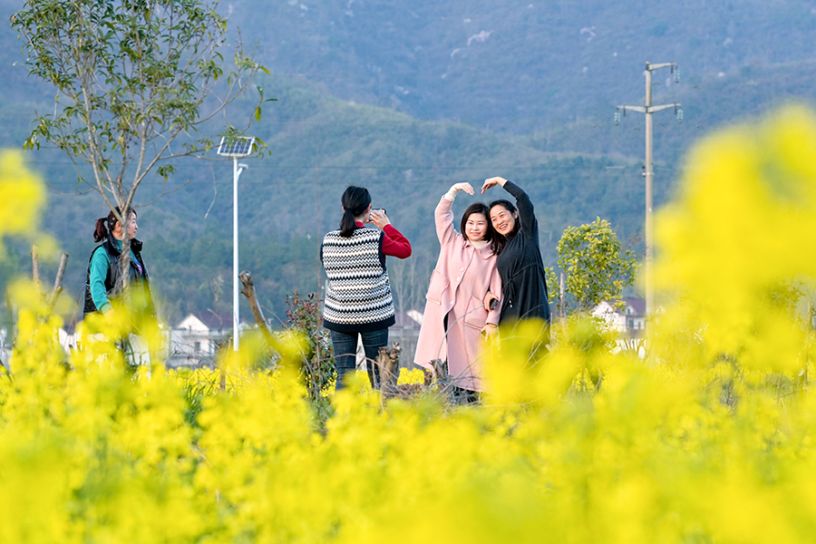شوانتشنغ ، آنهوي: أزهار الكانولا تتفتح على ضفاف النهر