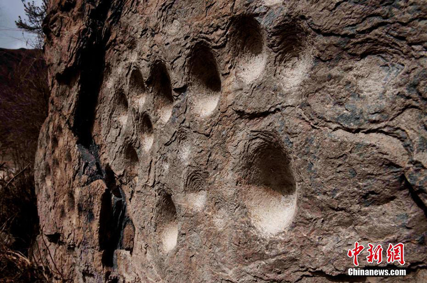 اكتشاف رسوم صخرية بكهف في مقاطعة تشينغهاي غرب الصين