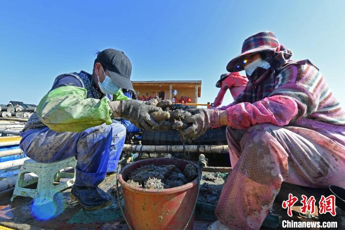 الأحياء المائية تدرّ عائدات ضخمة على قرية صغيرة بمقاطعة فوجيان الصينية