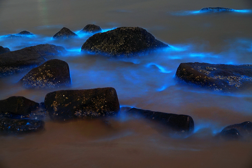 الأزرق المتوهج يغزو شواطئ جزيرة بينغتان بمقاطعة فوجيان