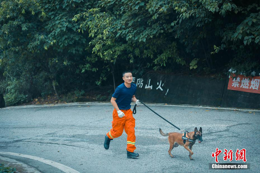 رجال الإطفاء في تشونغتشينغ يخلعون القبّعات في وداع الكلب 