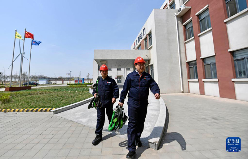 ليو يان بو.. مهندس شاب يضمن التشغيل الآمن لخط الطاقة الخضراء في تيانجين