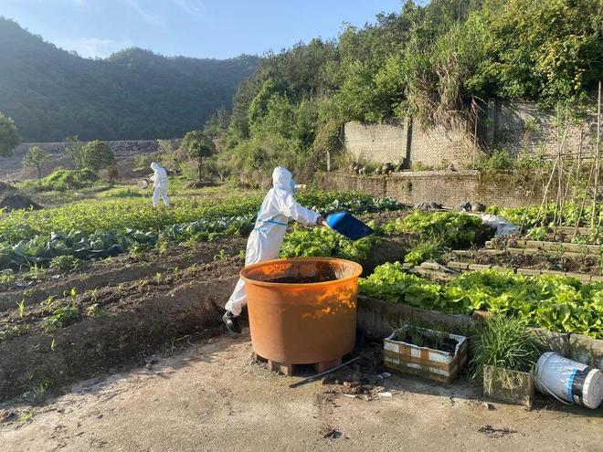 دونغيانغ، تشجيانغ: طاقم الوقاية من الأوبئة يتحول الى مزارعين لمساعدة  صاحب مزرعة تحت الحجر الصحي