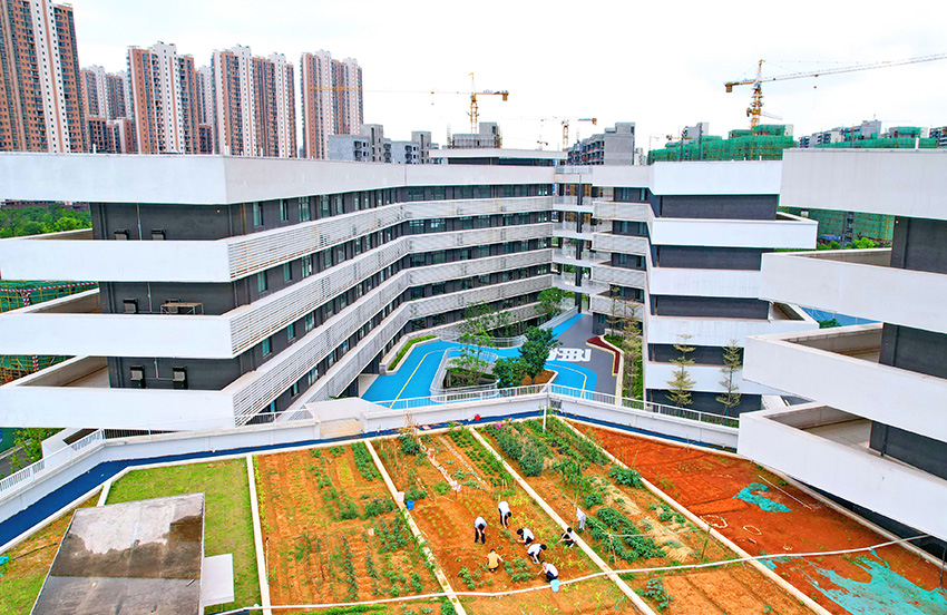 مدرسة بجيانغشي تعلم طلابها الأنشطة الزراعية على سقف المباني