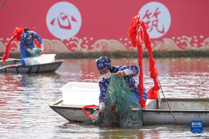 جيانغسو تستضيف مهرجان شيويي، الصين الدولي الـ 22 لصيد جراد البحر