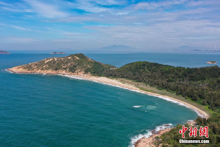 محمية السلحفاة البحرية في قوانغدونغ تدخل موسم التفريخ