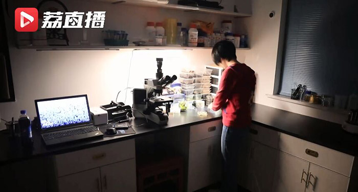 اكتشاف حياة غير المرئية: فتاة صينية محترفة في تصوير الفطريات