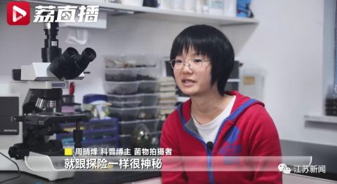 اكتشاف حياة غير المرئية: فتاة صينية محترفة في تصوير الفطريات