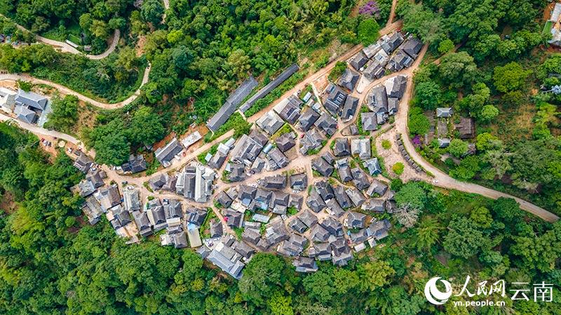 تصوير جوي لقرية بولانغ القديمة في جبل جينغماي، يوننان