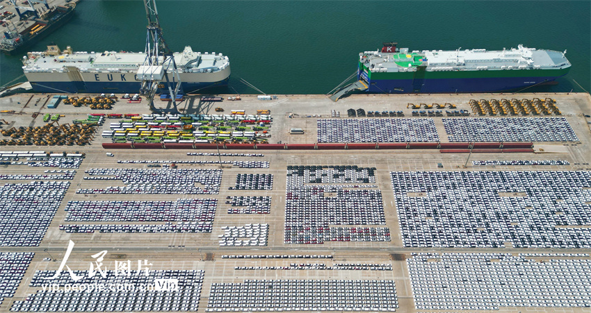 نقطة الالتقاء البحري والبري .. ميناء يانتاى بشاندونغ يشهد ازدهار صادرات السيارات