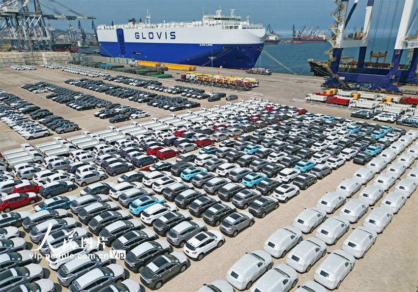 نقطة الالتقاء البحري والبري .. ميناء يانتاى بشاندونغ يشهد ازدهار صادرات السيارات