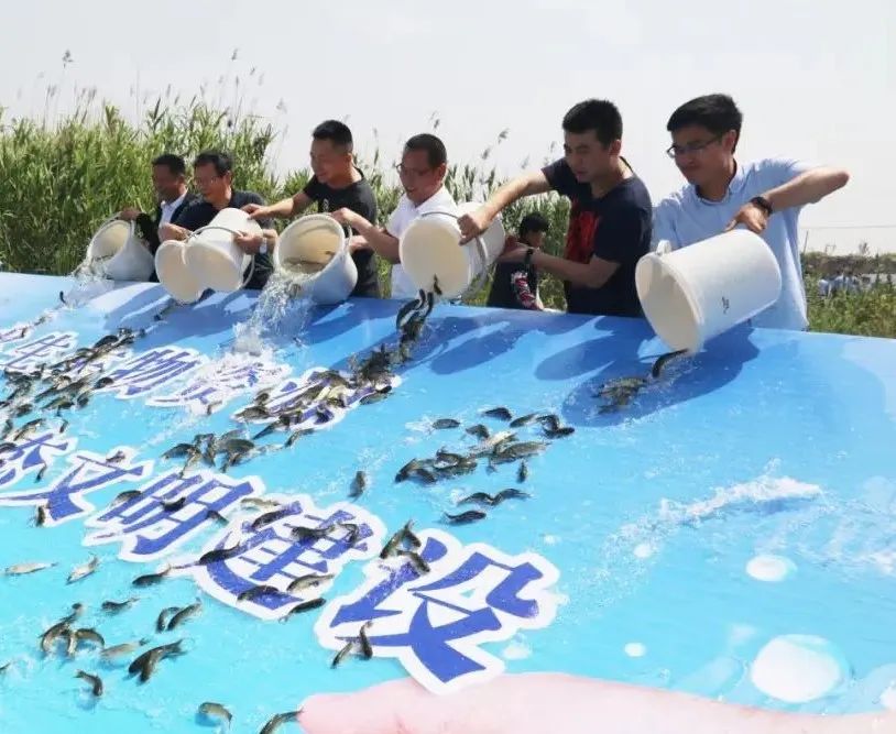 إطلاق أكثر من 30 مليون زريعة سمكية في نهر اليانغتسي بوسط الصين