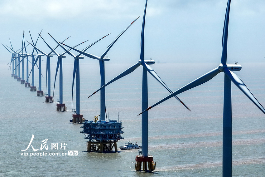 تشوشان، تشجيانغ: البحر مصدر الكهرباء الخضراء
