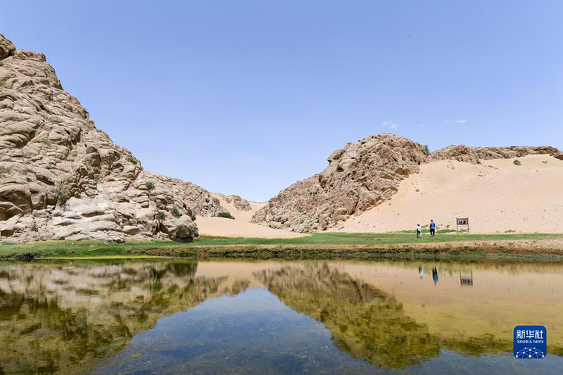 مشهد صيفي مميز لبحيرة تيانتشي في صحراء ألكسا 