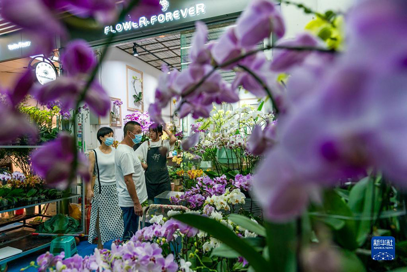 كونمينغ، عاصمة الزهور الآسيوية