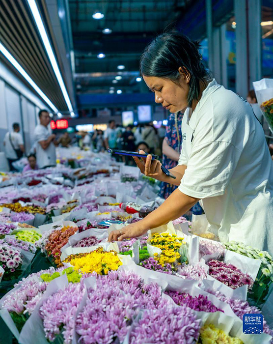 كونمينغ، عاصمة الزهور الآسيوية