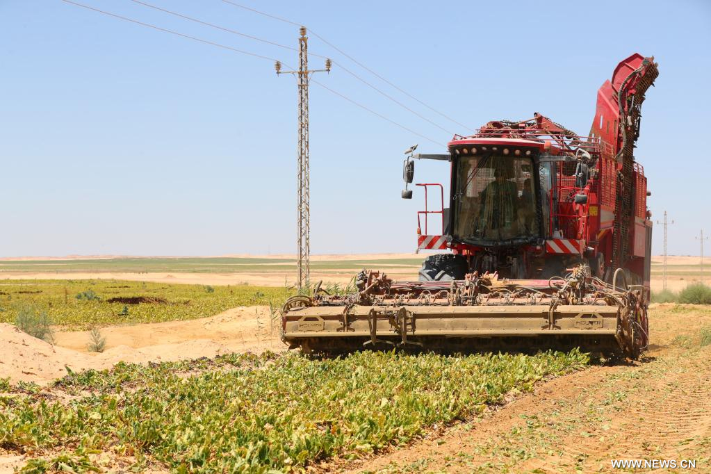 مقالة : شركة حفر صينية تساهم في تحويل صحراء مصر إلى أراض زراعية