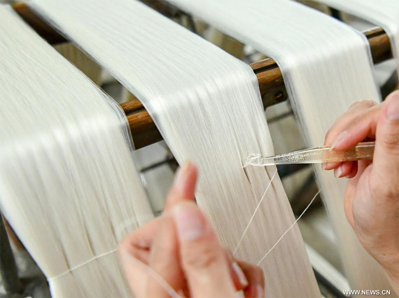 صناعة الحرير تساعد على زيادة دخول المحليين في محافظة بجنوب غربي الصين