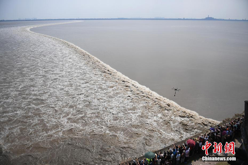 حركة مد فريدة في نهر تشيان تهانغ بتشجيانغ