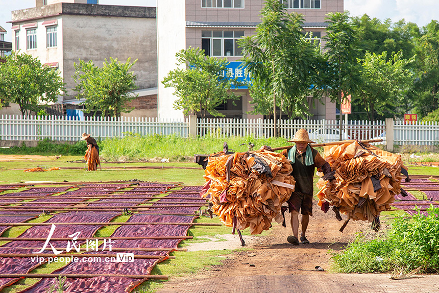 منغشان بقوانغشي، موطن صباغة الحرير بالألوان النباتية في الصين