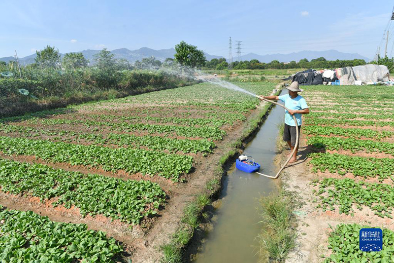 الصين تحث على بذل جهود للسيطرة على الفيضانات والتخفيف من آثار الجفاف