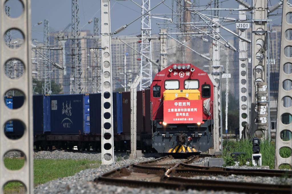 وصول قطار شحن صيني-أوروبي محمّل بمواد خام لعشب طبي صيني تقليدي إلى شيآن الصينية