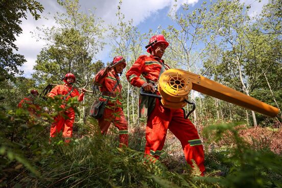 مليونا حارس يحمون الغابات في الصين