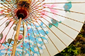مظلة ورق الزيت الصيني .. سحر التراث الثقافي غير المادي