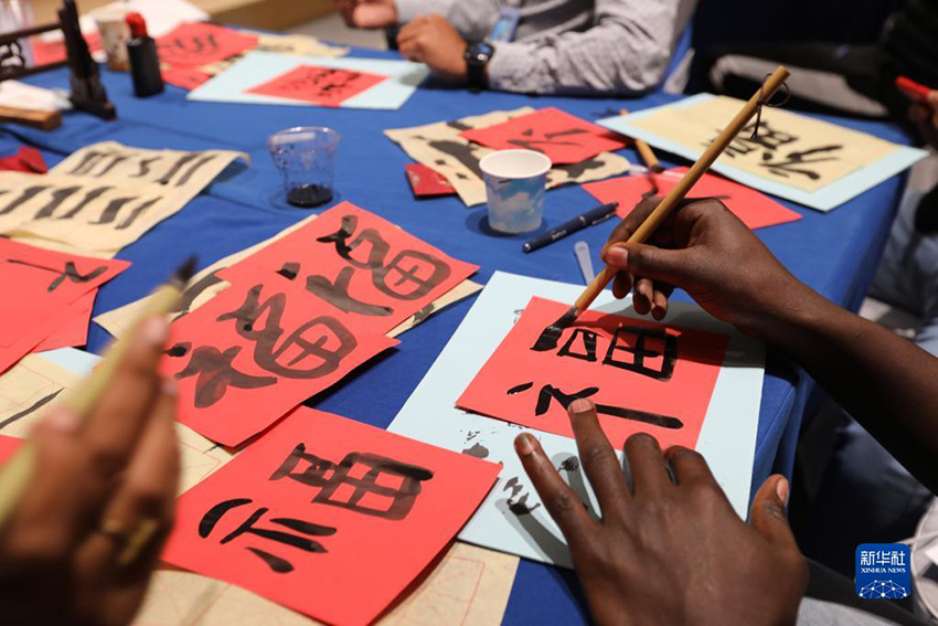رواد أعمال شباب من إفريقيا يتعرفون على الثقافة الصينية