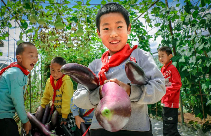 معلمون وتلاميذ يزرعون ما يأكلون في مدرسة بيوننان