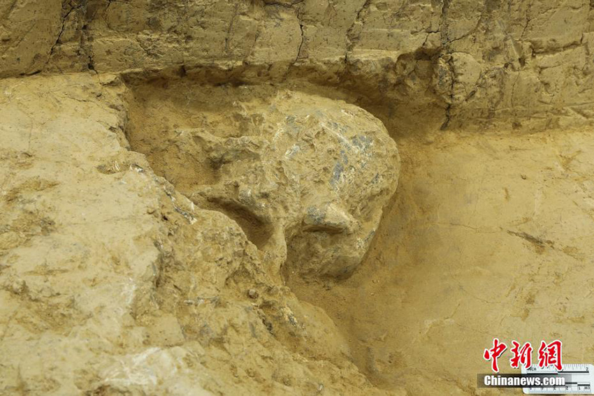 اكتشاف جمجمة بشرية تعود إلى ما قبل مليون سنة بمقاطعة هوبي الصينية