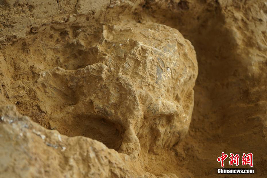 اكتشاف جمجمة بشرية تعود إلى ما قبل مليون سنة بمقاطعة هوبي الصينية