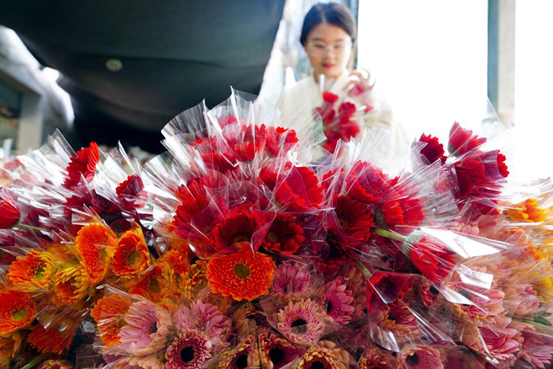 الصورة: صناعة الزهور الطبيعية تدفع النهضة الريفية بمقاطعة شاندونغ في شرقي الصين