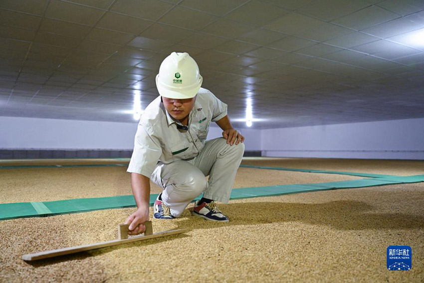 بالصور: أكبر مستودع لتخزين الحبوب في فوجيان