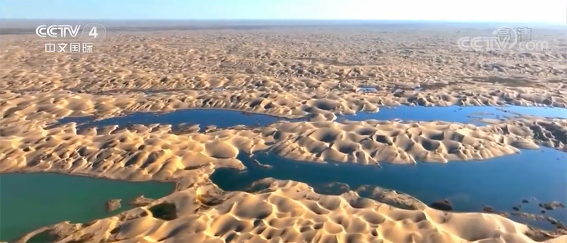 بحيرات مياه صغيرة في صحراء تاكليماكان