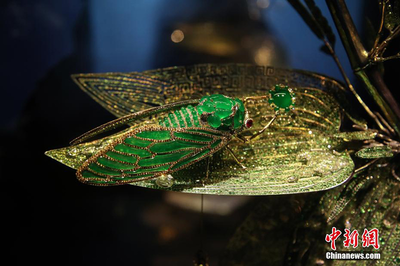 المجوهرات النادرة تتألق في معرض الصين الدولي الخامس للاستيراد في شانغهاي