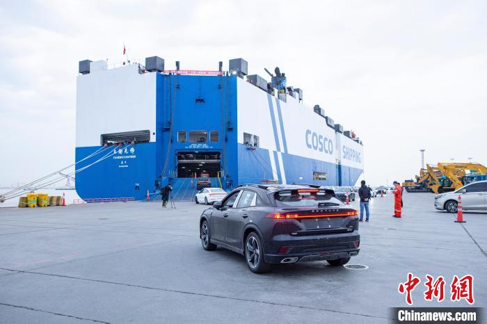 افتتاح خط شحن بحري للسيارات الصينية نحو الشرق الأوسط من شنغهاي