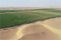 التعاون الصيني العربي يتعمق في مجال الري الموفر للمياه