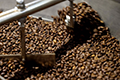 القهوة الأثيوبية المصنّعة في الصين تطرق أبواب سوق الشرق الأوسط