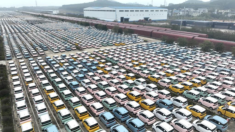 ليوتشو، قوانغشي: الانشغال في تصدير السيارات خلال عيد الربيع