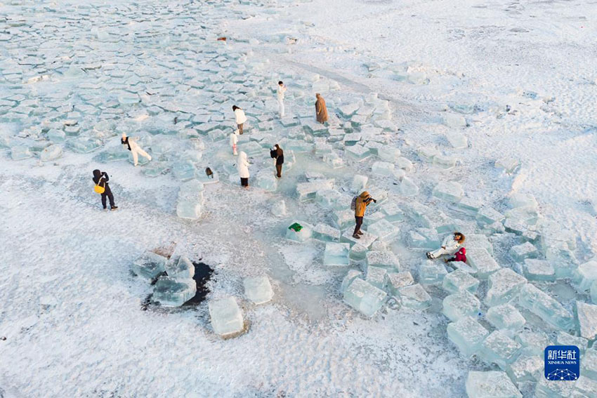 محجر الجليد في هاربين يتحول إلى نقطة جذب سياحي