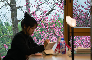تشونغتشينغ: ينابيع من الزهور تحتضن المكتبة