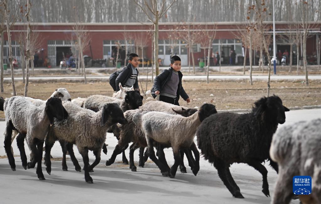 البازارات العامة في ياركان (شينجيانغ) ملتقى سكان القرى كل أسبوع
