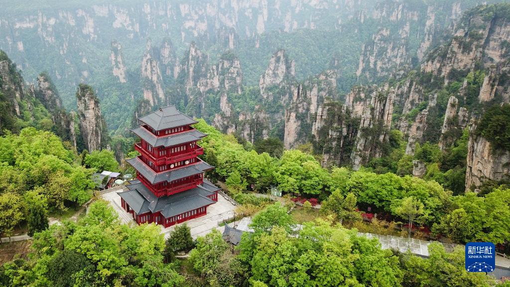 حديقة تشانغ جياجيه تضاريس من كوكب آخر على سطح الأرض