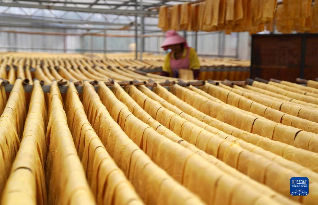 محافظة شيبينغ تنتج 150 طنا من التوفو وغيرها من منتجات فول الصويا يوميا