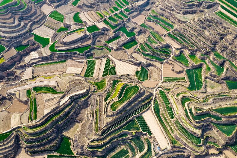 رويشنغ، شانشي: منظر الحقول المدرجة على هضبة اللوس في الربيع